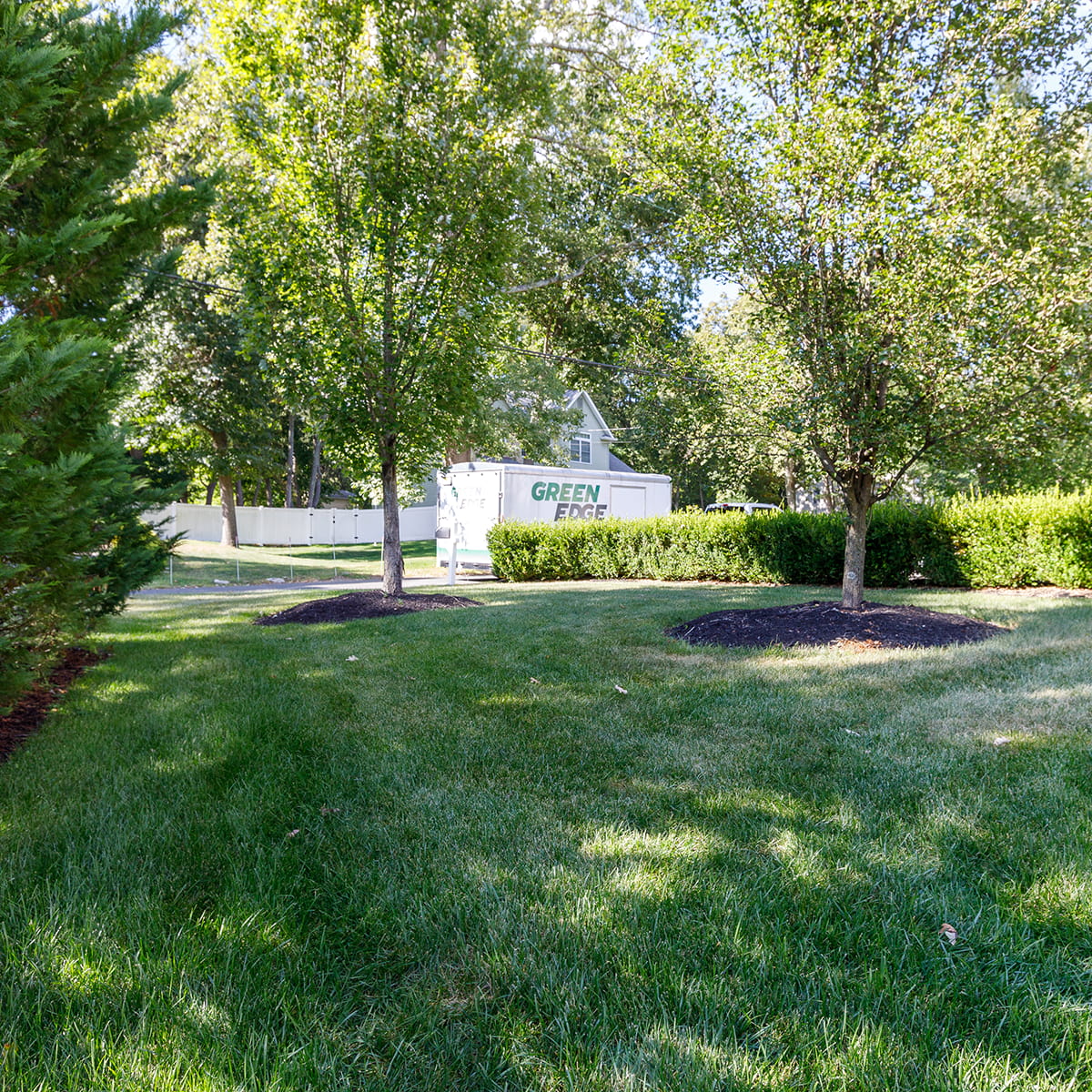 Expert tree and shrub care services in Monmouth, Ocean, and Middlesex Counties with Integrated Pest Management.