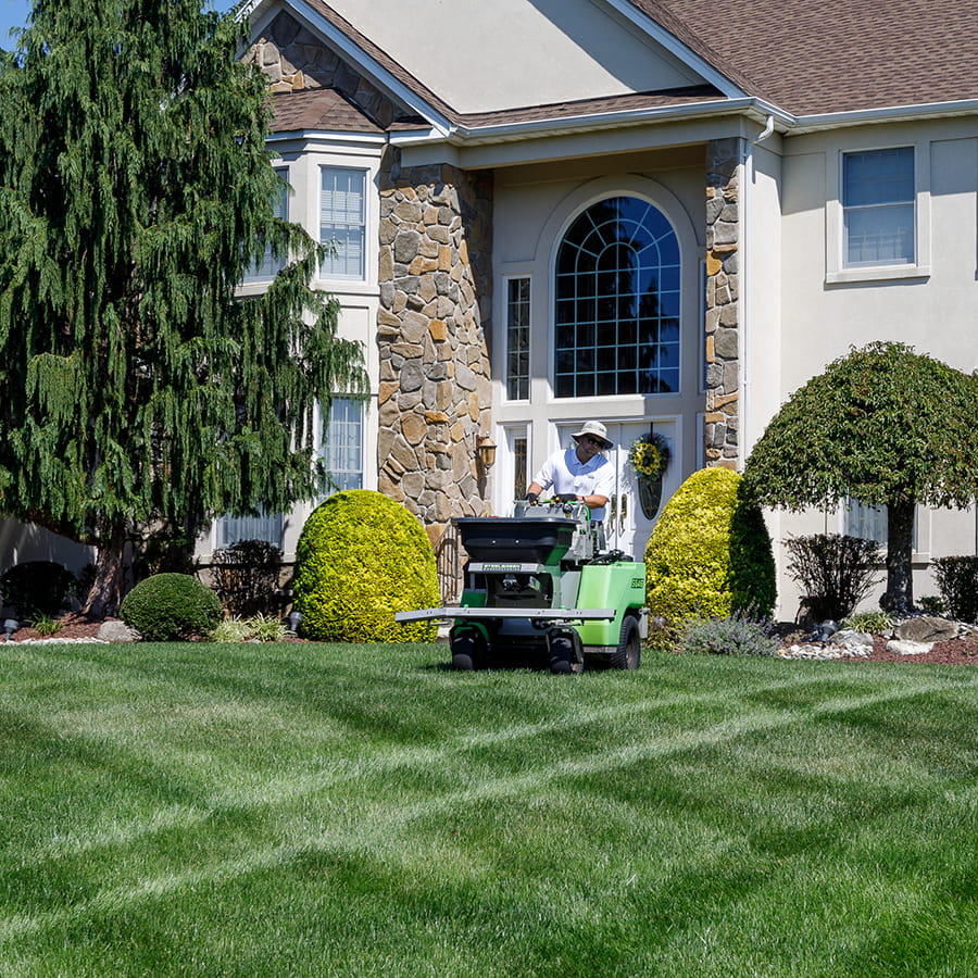 Professional lawn fertilization service for healthy, lush lawns
