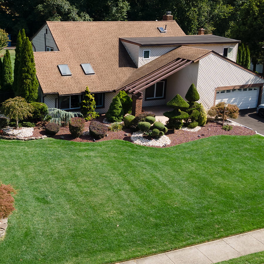 High-quality seeding and lawn renovation services for a healthier lawn