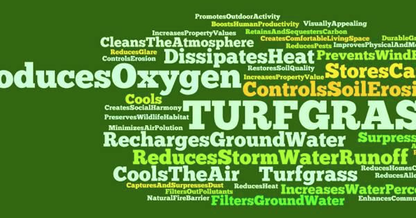 The Miracle of Turfgrass!