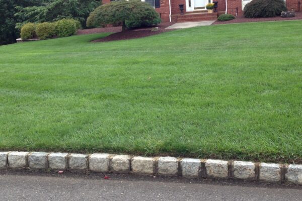 Effective Lawn Care Creates Curb Appeal